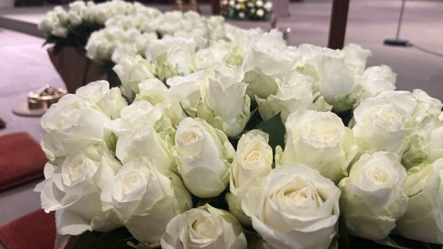 Das Foto zeigt weiße Rosen.