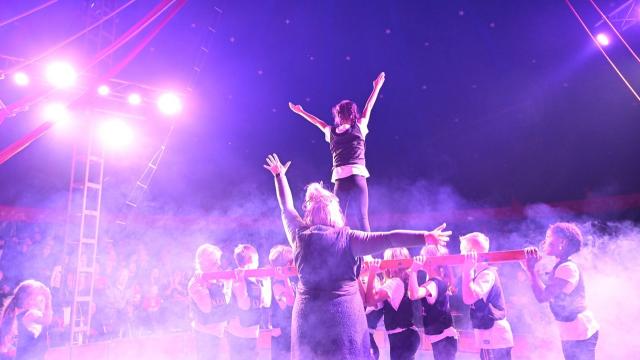 Der Kinder- und Jugendzirkus Dobbelino kommt mit einer Akrobatik-Woche vom 21. bis 26. Juli 2025 nach Duderstadt  Fotocredit: Zirkus Dobbelino 